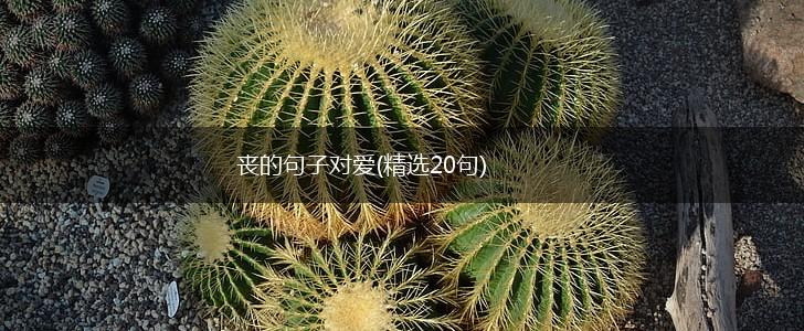 丧的句子对爱(精选20句),第1张