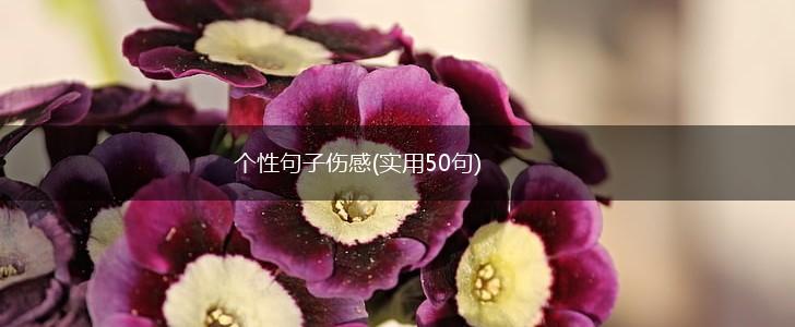 个性句子伤感(实用50句),第1张