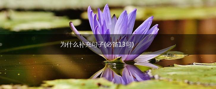 为什么补充句子(必备13句),第1张