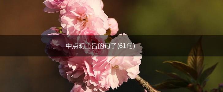 中点明主旨的句子(61句),第1张