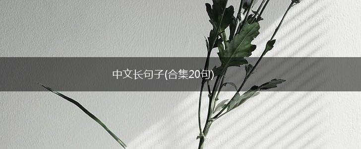中文长句子(合集20句),第1张