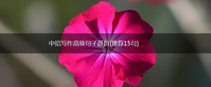 中招写作高级句子题目(推荐15句),第1张