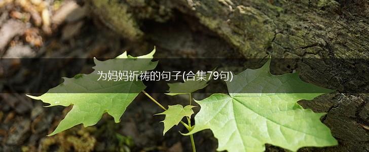 为妈妈祈祷的句子(合集79句),第1张