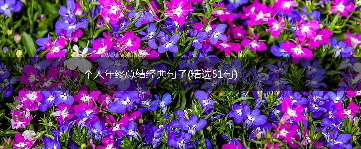 个人年终总结经典句子(精选51句),第1张