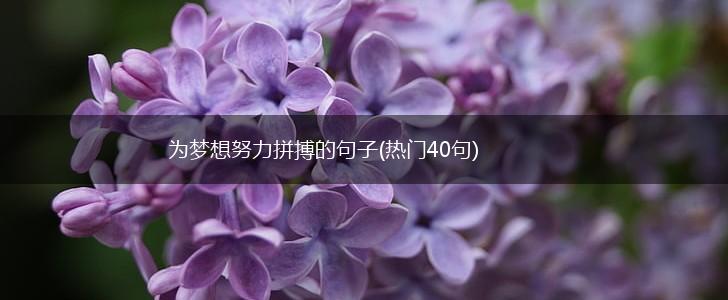 为梦想努力拼搏的句子(热门40句),第1张
