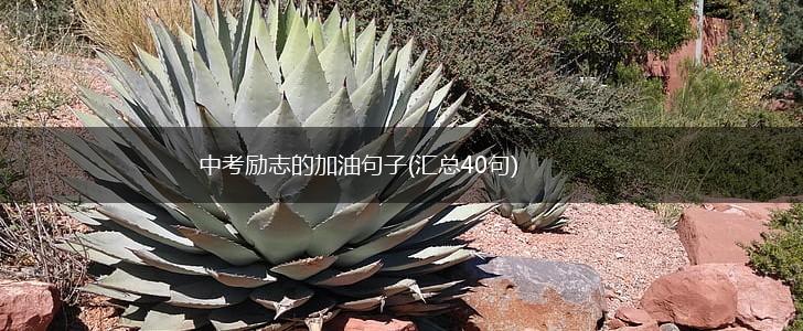 中考励志的加油句子(汇总40句),第1张