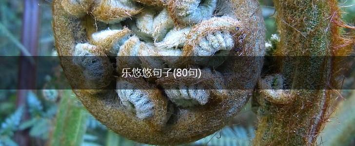 乐悠悠句子(80句),第1张