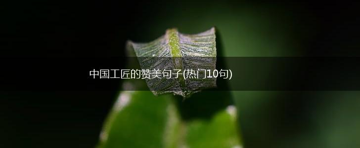 中国工匠的赞美句子(热门10句),第1张