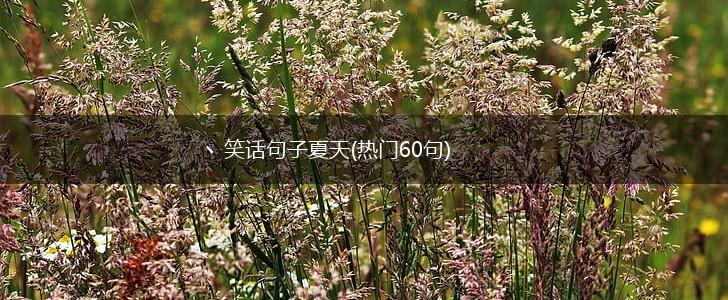 丶笑话句子夏天(热门60句),第1张