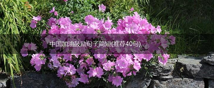 中国加油鼓励句子简短(推荐40句),第1张