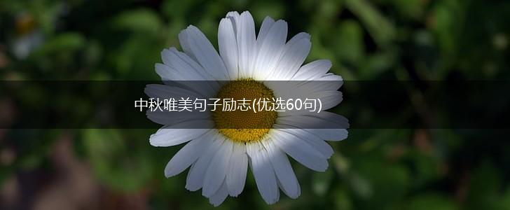 中秋唯美句子励志(优选60句),第1张