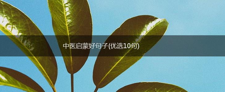 中医启蒙好句子(优选10句),第1张