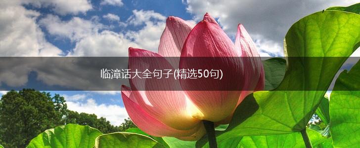 临漳话大全句子(精选50句),第1张