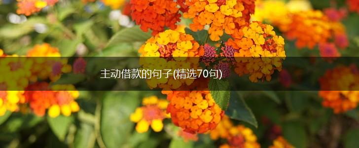 主动借款的句子(精选70句),第1张
