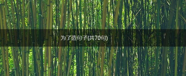 为了造句子(共70句),第1张
