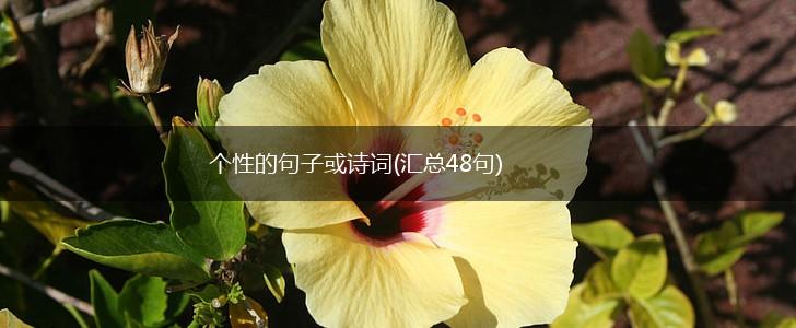 个性的句子或诗词(汇总48句),第1张