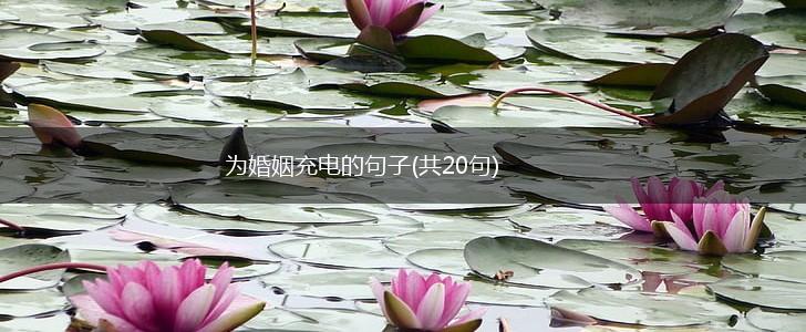 为婚姻充电的句子(共20句),第1张