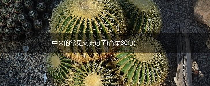 中文的常见交流句子(合集80句),第1张