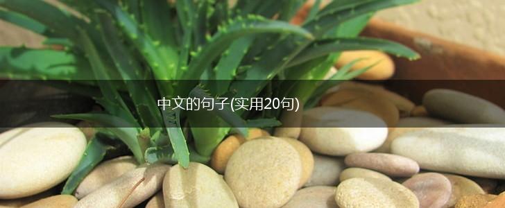 中文的句子(实用20句),第1张