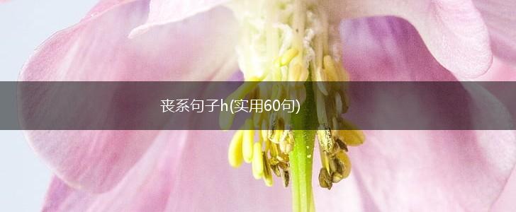 丧系句子h(实用60句),第1张
