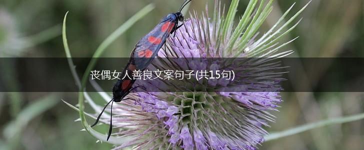 丧偶女人善良文案句子(共15句),第1张