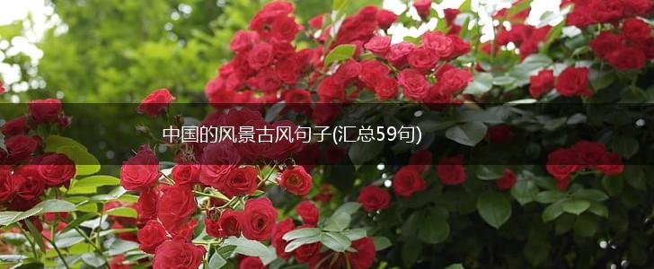 中国的风景古风句子(汇总59句),第1张