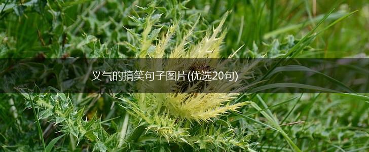 义气的搞笑句子图片(优选20句),第1张