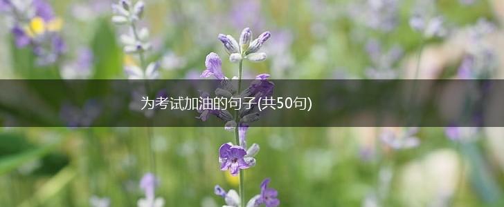 为考试加油的句子(共50句),第1张