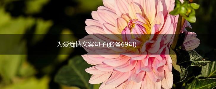 为爱痴情文案句子(必备69句),第1张