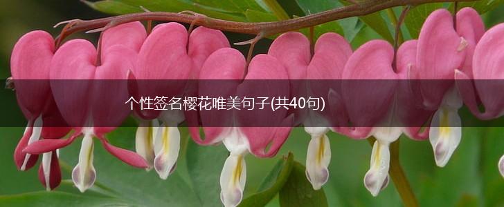 个性签名樱花唯美句子(共40句),第1张