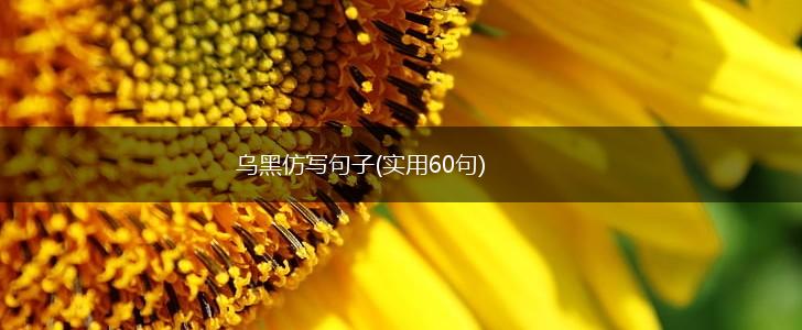 乌黑仿写句子(实用60句),第1张