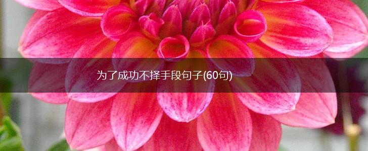 为了成功不择手段句子(60句),第1张