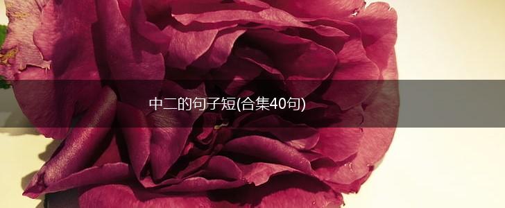 中二的句子短(合集40句),第1张