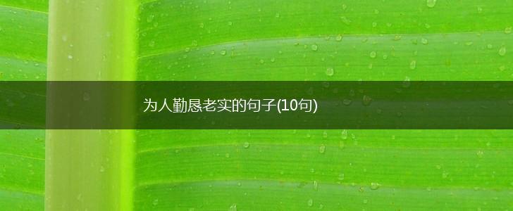 为人勤恳老实的句子(10句),第1张