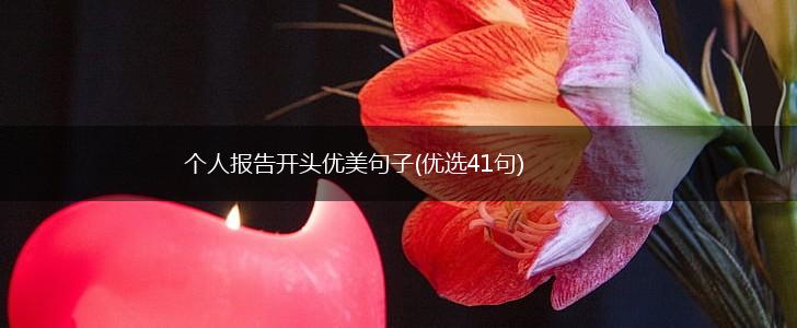 个人报告开头优美句子(优选41句),第1张