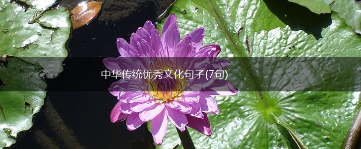 中华传统优秀文化句子(7句),第1张