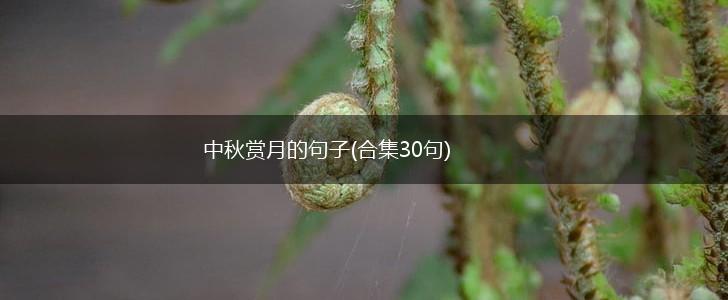 中秋赏月的句子(合集30句),第1张