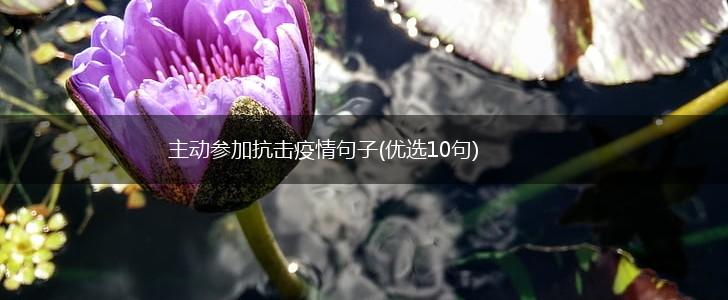 主动参加抗击疫情句子(优选10句),第1张