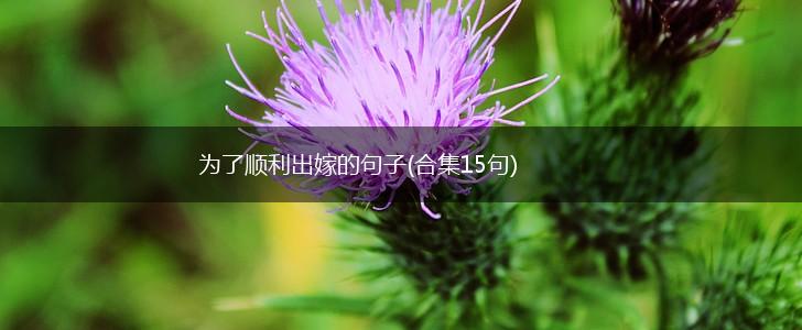 为了顺利出嫁的句子(合集15句),第1张