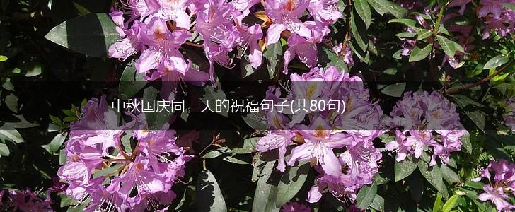 中秋国庆同一天的祝福句子(共80句),第1张
