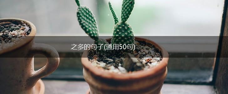 之多的句子(通用50句),第1张