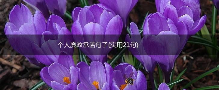 个人廉政承诺句子(实用21句),第1张