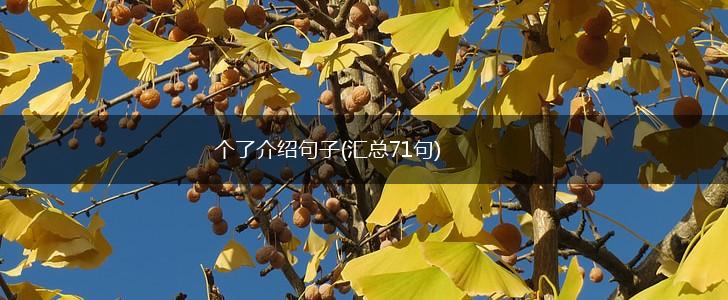 个了介绍句子(汇总71句),第1张