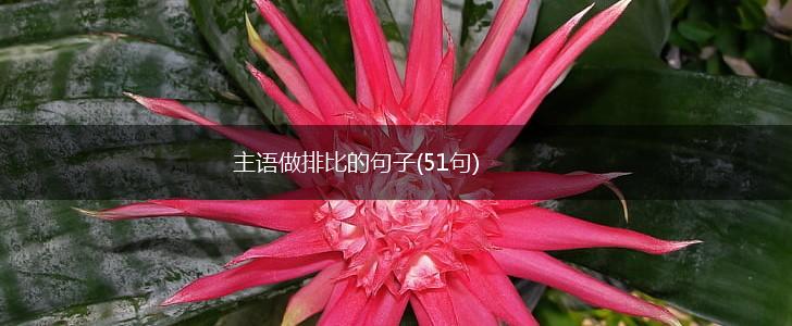 主语做排比的句子(51句),第1张