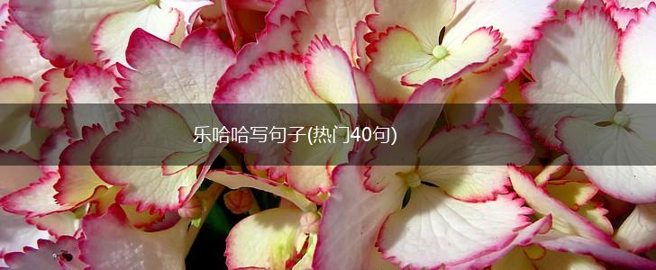 乐哈哈写句子(热门40句),第1张