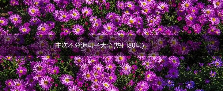 主次不分造句子大全(热门80句),第1张