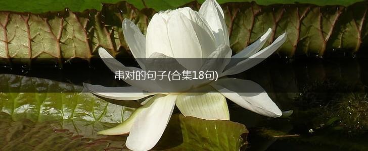 串对的句子(合集18句),第1张