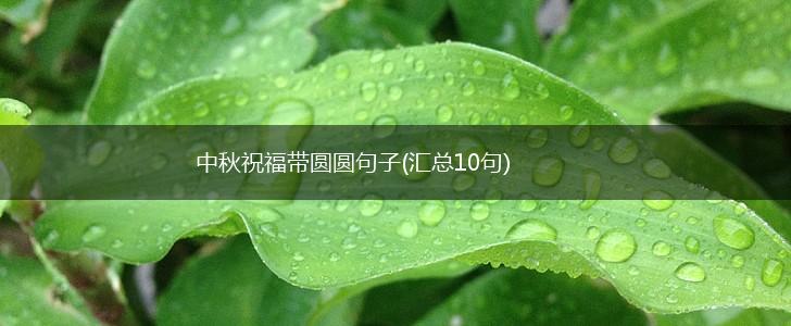 中秋祝福带圆圆句子(汇总10句),第1张