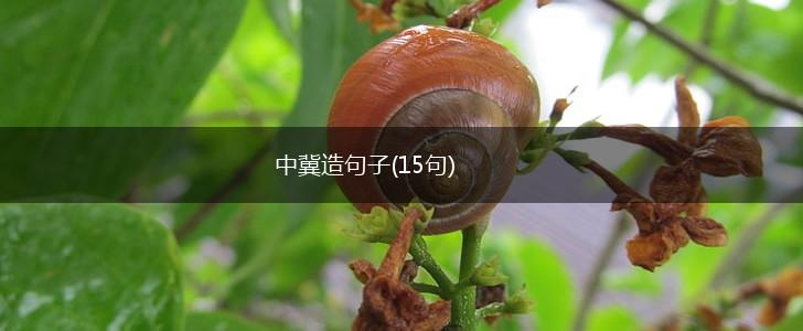 中冀造句子(15句),第1张