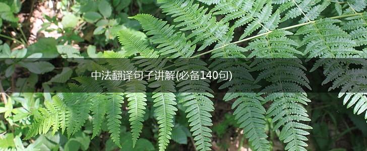 中法翻译句子讲解(必备140句),第1张